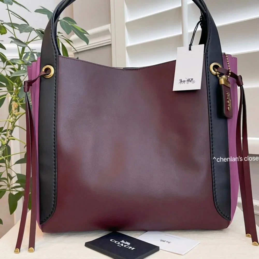 🔥NeW! Coach Harmony Colorblock Hobo - Picture 6 of 16